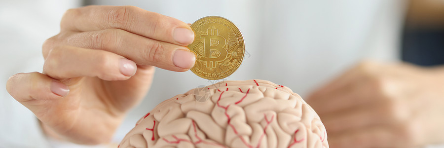 可视化模型在人脑前拿着比特币硬币的女商务人士背景