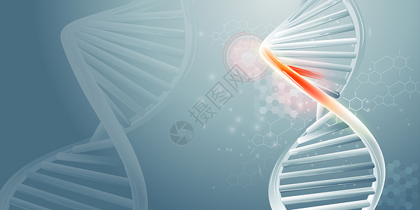 基因元素DNA双螺旋线和科学数据信息图生物卫生化学品工程遗传图表技术化学测试基因组背景