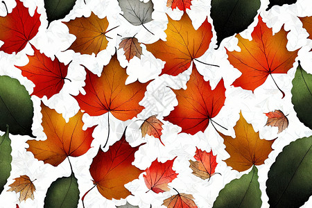 手绘秋天树叶装饰无缝图案 秋天的叶子是白色的背景