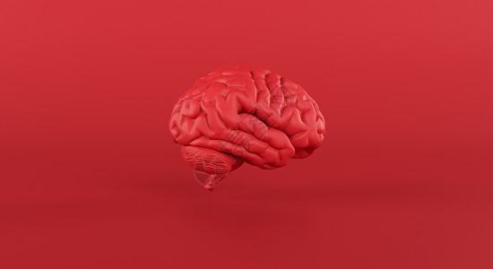 红色的大脑幻灯观视 在最低限度的工作室背景 思想 想法 商业3d渲染高清图片素材