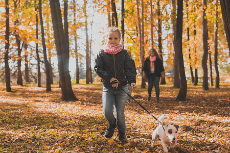 小女孩在秋叶的秋叶中带着她的狗杰克罗瑟尔跑来跑去孩子跑步皮带季节动物树木森林家庭女孩母亲金的高清图片素材