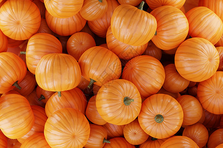 白色背景的3D 种子模版南瓜蔬菜感恩橙子收成植物食物营养葫芦季节背景图片