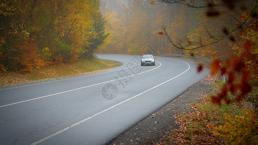 理财有道秋天的路 冬季有雾和危险的汽车驾驶 恶劣的天气下雨和道路上的交通 交通和道路安全的概念旅游森林叶子国家风景轮胎小路农村橙子场景背景