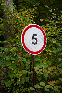 白色数字5公园和森林里有一个标志 表示时速限为5英里/小时背景