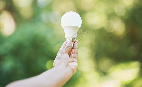 自然 可再生能源和生态友好的灯泡在花园和创新中 拯救地球和环境 循环利用 绿灯和电力理念的可持续性与散景和光能背景图片