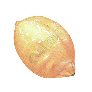 手绘水果柠檬黄色柠檬 水彩色插图 白背景的孤立 用于设计标签 自然印刷品 厨房附件 含柑橘酸或气味的产品包装等蔬菜灌木草图味道香橼色彩热情手背景