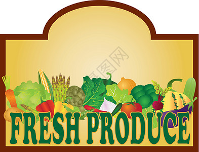 蔬菜新鲜甘蓝新鲜生产信号插图Name设计图片