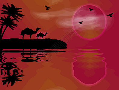 突尼斯野外背景天空异国旅行情调闲暇骆驼假期旅游运输海滩设计图片