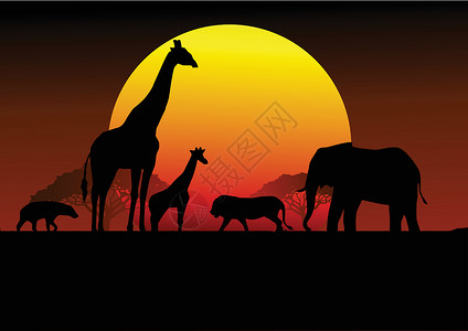 斑马剪影非洲日落公园动物草地狮子野生动物插图哺乳动物鬣狗戏剧性荒野设计图片