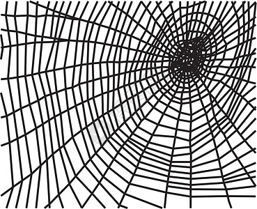 蜘蛛网插图昆虫网络夹子蛛网纺纱黑色艺术动物渲染图片