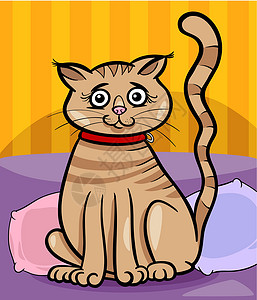 女性猫卡通插图虎斑小猫宠物衣领枕头漫画尾巴快乐吉祥物剪贴设计图片