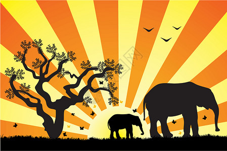 旅游抓蝴蝶非洲大象哺乳动物旅游橙子植物树干母亲蝴蝶家庭动物园日落设计图片