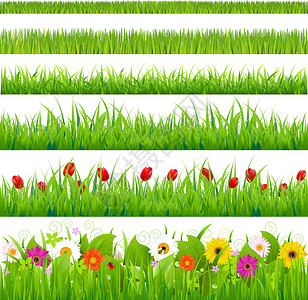 不同颜色菊大草和花花集设计图片