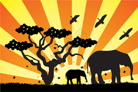 美丽的大草原非洲地区病媒大象日落哺乳动物蝴蝶树干射线插图动物橙子叶子植物设计图片