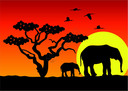 鸟妈妈非洲地区病媒大象森林哺乳动物植物动物日落荒野阳光动物园团体家庭设计图片