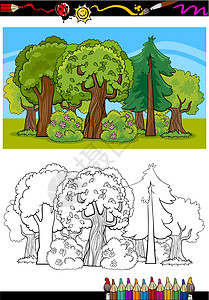 山毛榉树用于彩色书籍的树和森林漫画设计图片