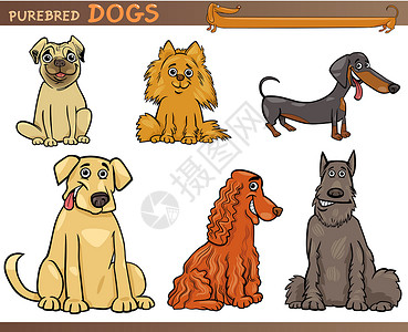 纯净的狗狗漫画插图集团体猎犬犬类插图剪贴小狗尾巴卡通片哈巴狗宠物设计图片