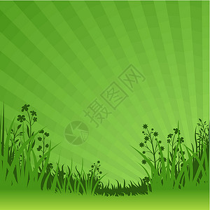 绿色自然背景土地阳光植物季节生长田园草地插图叶子风光背景图片