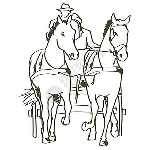 青海湖牵马的人手牵马匹草图农场动物园力量宠物运动哺乳动物派对马背鬃毛设计图片