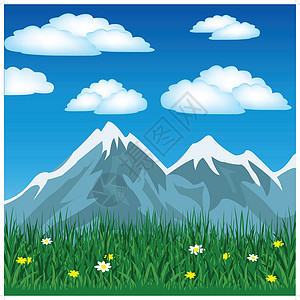 山中夏月插图植物群草地蓝色草本植物生态高山空地天空绿色图片