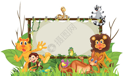 布查特花园各种动物植物野生动物动物园青蛙狮子森林爬虫老虎海报丛林设计图片