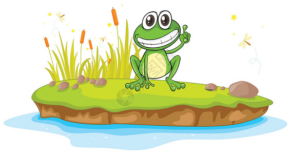 湖草青蛙和水剪贴草地昆虫池塘动物群微笑岩石植物植物群野生动物设计图片