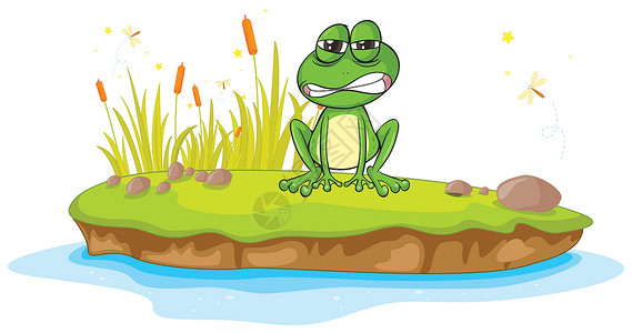 青蛙背景一只青蛙和一只水岩石昆虫草地剪贴情绪野生动物植物群眼睛植物荒野设计图片