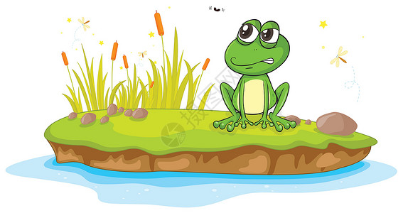 蹲着的青蛙一只青蛙和一只水荒野植物群池塘两栖动物群动物蜻蜓生物野生动物绘画设计图片
