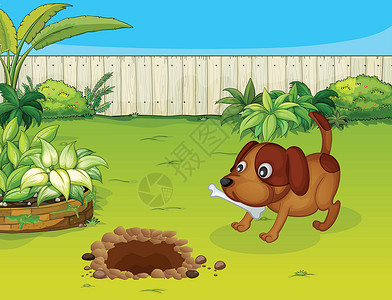 草地上玩耍的狗有骨头的狗绿色植物情绪动物群树叶花园黏土灌木荒野食物微笑设计图片