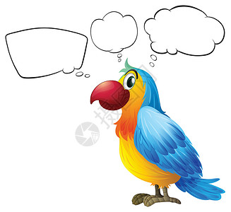金刚鹦鹉色彩多彩的鹦鹉思维设计图片