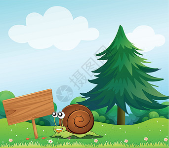 木制指示牌木制招牌附近的一只蜗牛设计图片