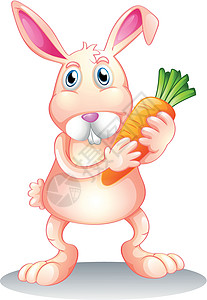 一只拿着胡萝卜的胖兔子设计图片