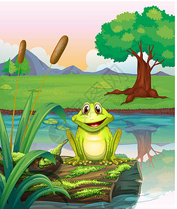 苔藓河湖边的青蛙设计图片