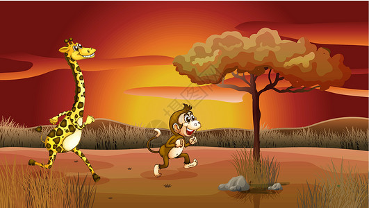 奔跑长颈鹿一只长颈鹿和猴子在日落的风景中奔跑设计图片
