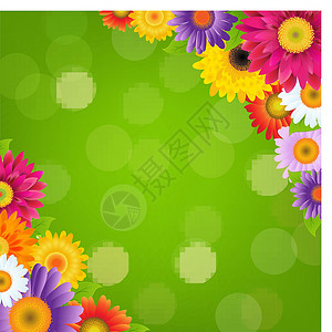 绿雏菊与绿博凯交界的多彩色Gerbers花朵拼贴画美丽植物群园艺海报背景树叶卡片花园雏菊设计图片