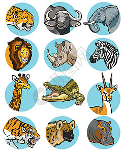 鲍氏带有非洲动物的图标设计图片