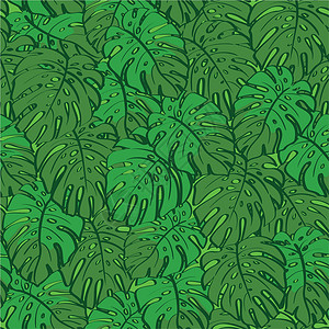 热带公园无缝背景 野生绿叶植物学装饰品花园公园天堂热带植被季节织物生长设计图片