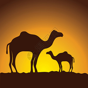 突尼斯骆驼大篷车 矢量图像设计设计图片