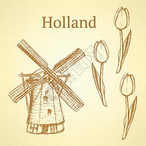 Slaych 荷兰风车和郁金 矢量背景力量旅游卡片插图叶子植物群古董文化建筑绘画设计图片
