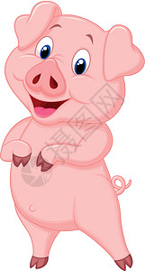漫画猪装饰可爱的猪漫画设计图片