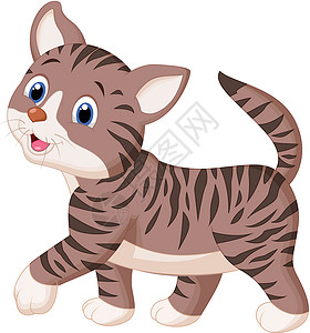 呼噜声可爱猫咪卡通眉头快乐爪子动物猫科幸福尾巴吉祥物孩子们插图设计图片