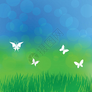 佛罗伦萨不晴天春季背景太阳晴天花园公园墙纸雏菊草地蓝色叶子场地设计图片