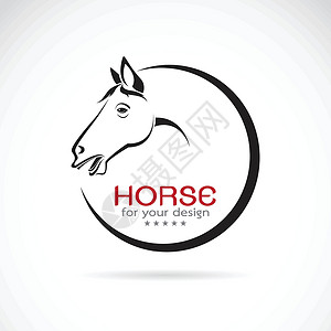 马具白色背景的马匹设计的矢量图像运动赛马荒野骑术哺乳动物速度展览农场插图野生动物设计图片