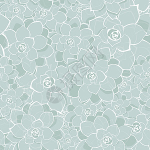 浅灰矢量银色灰色succulents 纹理 无缝模式回格设计图片