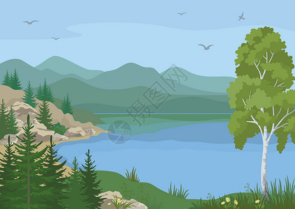 树林和山湖景观叶子洋甘菊远景环境云杉天气天空爬坡木头翅膀背景图片