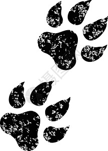 动物爪印猎犬插图脚趾野生动物宠物黑色小狗野外动物哺乳动物模仿设计图片