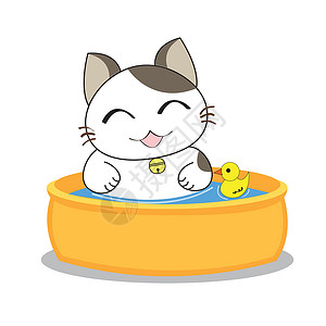 黄色的鸭子玩具可爱的猫咪性格宠物胡须乐趣动物卡通片白色虎斑微笑绘画猫科设计图片