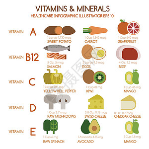 天然野生奇异果野生蘑菇病媒Vitamins和矿物食品设计图片