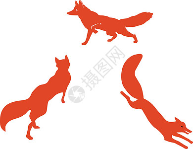 红狐示影设计图片
