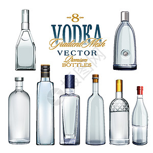 各种类型的伏特加酒瓶 它制作图案矢量标准空白优雅白色酒精商品味道瓶子用餐饮料设计图片